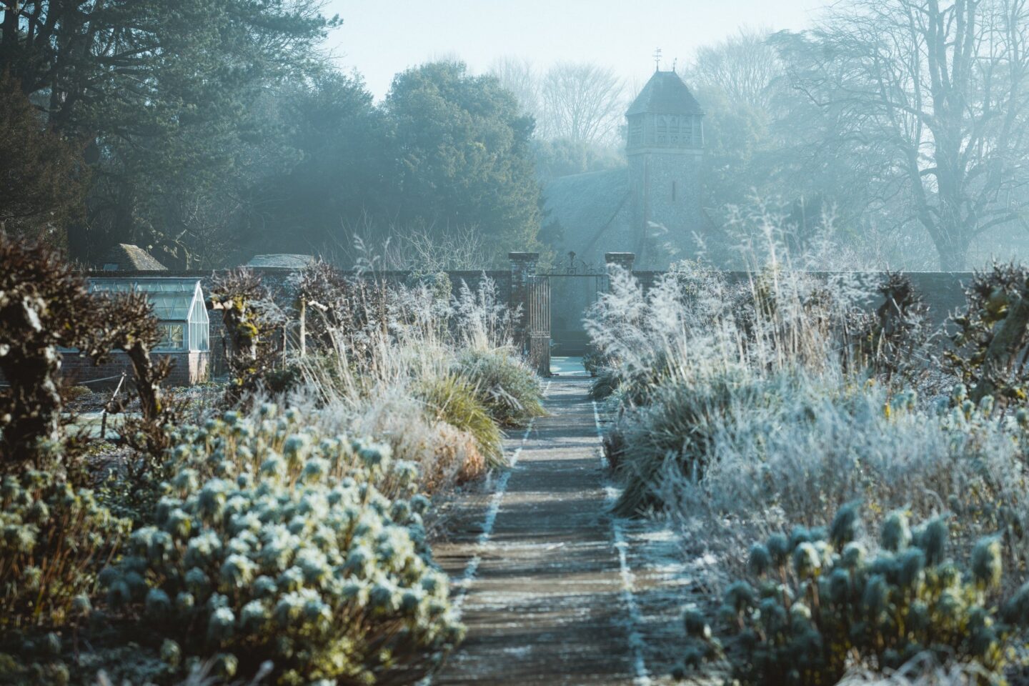 Putting Your Garden to Rest During Autumn